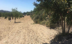 Land in limnatis. χωραφι στο χωριο λιμνατη. 
