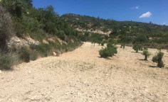 Land in limnatis. χωραφι στο χωριο λιμνατη. 