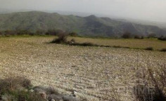 Spacious land for sale in Marathounta, Paphos