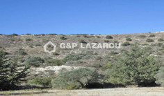 Agricultural land for sale in Monagroulli, Limassol 