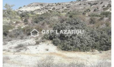 Agricultural land for sale in Monagroulli, Limassol 