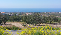 Planning permits for 9 villas!!, Paphos