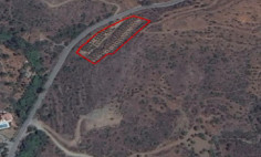 (agricultural) in Parekklisia, Limassol for sale , Limassol