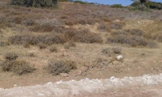 Land for sale in Agios Ambrosios, Limassol