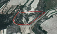 (agricultural) in Lania, Limassol for sale , Limassol