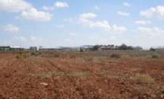 (residential) in Mammari, Nicosia for sale , Nicosia
