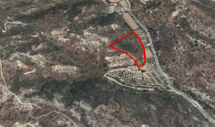 Land 12375 m2 for sale in Pissouri, Limassol