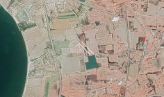 Field in Mazotos , Larnaca