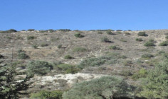 Spacious commercial for sale in Monagroulli