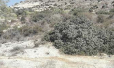 Spacious commercial for sale in Monagroulli