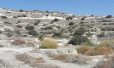 Spacious commercial for sale in Monagroulli