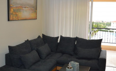 2 bedroom furnished apartment with swimming pool for sale in Chloraka