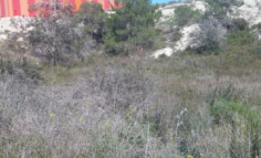 Commercial for sale in Monagroulli