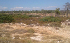 Residential 15886 m2 for sale in Souni-Zanakia, Limassol