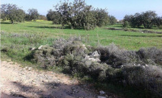 Large residential for sale in Souni-Zanakia, Limassol