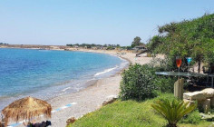 Residential 11502 m2 for sale in Timi, Paphos Residential 11502 m2 for sale in Timi, Paphos