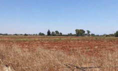 Spacious residential 3072 m2 for sale in Liopetri, Famagusta