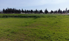 Residential 2964 m2 for sale in Frenaros, Famagusta
