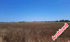 Residential 8769 m2 for sale in Liopetri, Famagusta