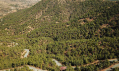 Land parcel 812 in Gourri , Nicosia
