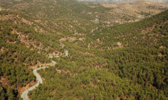 Land parcel 812 in Gourri , Nicosia