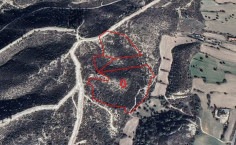 (agricultural) in Tochni, Larnaca for sale , Larnaca