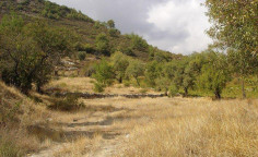 Residential 6523 m2 for sale in Pera Pedi, Limassol Residential 6523 m2 for sale in Pera Pedi, Limassol