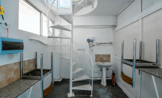 Shop to rent in Drosia