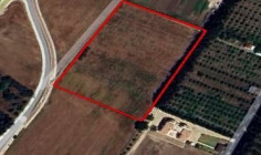 Land 15000 m2 for sale in Yeroskipou, Paphos