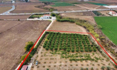 (tourist) in Kiti, Larnaca for sale , Larnaca
