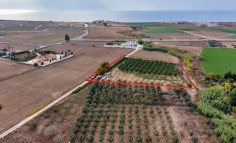 (tourist) in Kiti, Larnaca for sale , Larnaca