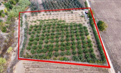 (tourist) in Kiti, Larnaca for sale , Larnaca
