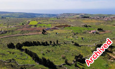 Field in Drouseia, Paphos , Paphos