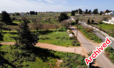 Field in Drouseia, Paphos , Paphos