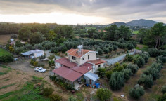 House (detached) in Pyrga, Larnaca for sale 