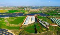 Field with a poultry farm in Agios Ioannis malountas, Nicosia 