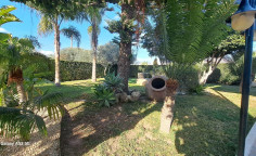 House (detached) in Anavargos, Paphos for rent House (detached) in Anavargos, Paphos for rent