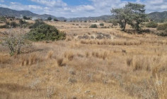 Land 4710 m2 for sale in Pyrgos, Limassol