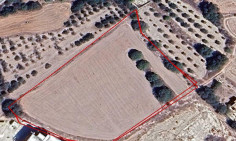 Residential 9365 m2 for sale in Yeroskipou, Paphos