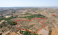 Shared agricultural field in Paralimni, Famagusta 