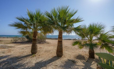 5 bed house for sale in Agia Thekla 5 bed house for sale in Agia Thekla