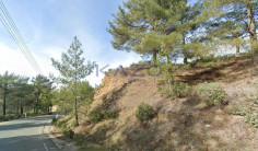 Large field for sale in scenic Platres village , Limassol