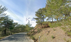Large field for sale in scenic Platres village , Limassol