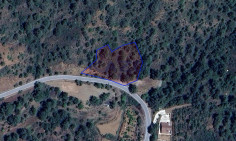 Large 3345m2 field for sale in scenic Platres , Limassol