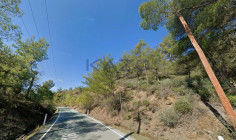 Large 7062m2 field for sale in Platres forest , Limassol