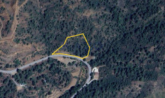 Large 7062m2 field for sale in Platres forest , Limassol