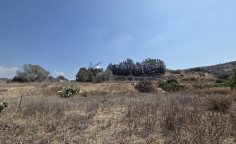 Agricultural field in Moni area, Limassol , Limassol