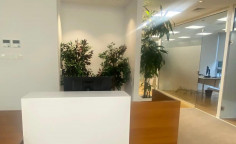 Large commercial to rent in Engomi