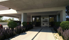 Beautiful 3 bed apartment to rent in Strovolos