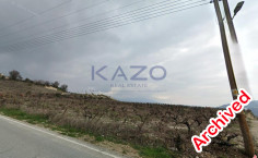 Large development plot for sale in Omodos vineyards , Limassol
